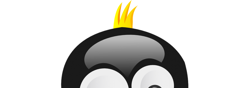 penguin-150563_1280